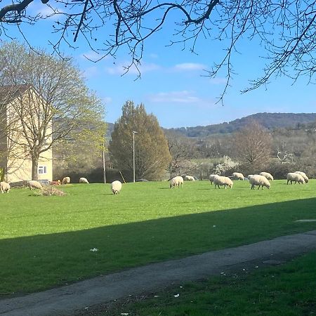 Floss Cottage Matson Luaran gambar